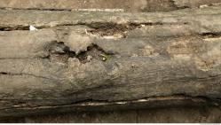 Photo Textures of Wood Mixed